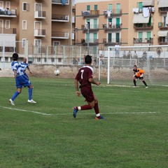 Fortis Trani – Brindisi 0-3