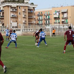 Fortis Trani – Brindisi 0-3