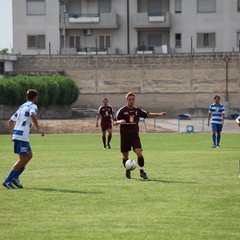 Fortis Trani – Brindisi 0-3
