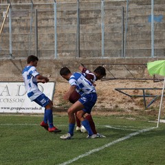 Fortis Trani – Brindisi 0-3
