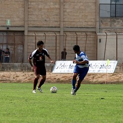 Fortis Trani – Brindisi 0-3