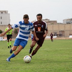 Fortis Trani – Brindisi 0-3