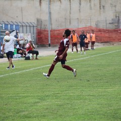 Fortis Trani – Brindisi 0-3