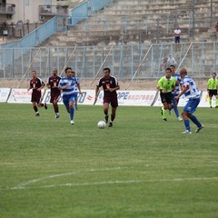 Fortis Trani – Brindisi 0-3