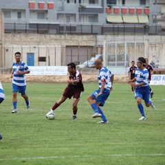 Fortis Trani – Brindisi 0-3