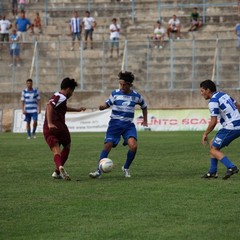 Fortis Trani – Brindisi 0-3