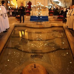 Omaggio floreale all'Immacolata: piazza della Libertà