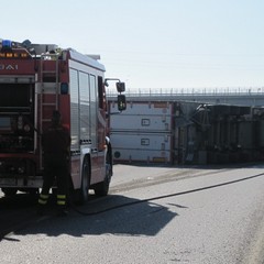 Camion si ribalta sulla strada statale 16 bis