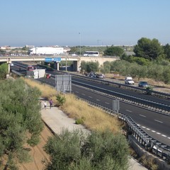 Camion si ribalta sulla strada statale 16 bis