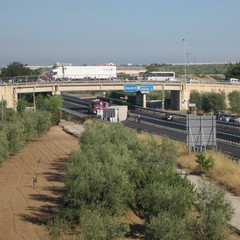 Camion si ribalta sulla strada statale 16 bis