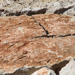 Cede il nuovo molo alla baia del pescatore