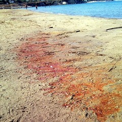 Seconda spiaggia tinta di rosso