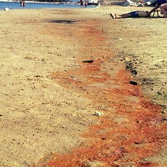 Seconda spiaggia tinta di rosso