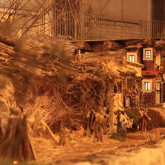 Presepe in piazza della Libertà - Trani 2011