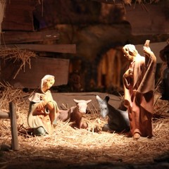 Presepe in piazza della Libertà - Trani 2011