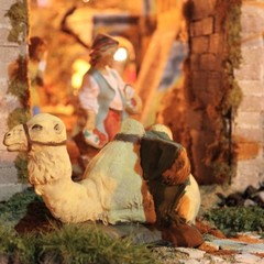 Presepe in piazza della Libertà - Trani 2011