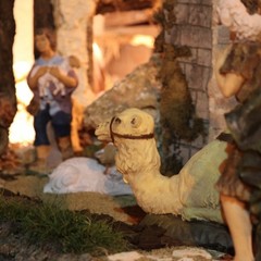 Presepe in piazza della Libertà - Trani 2011
