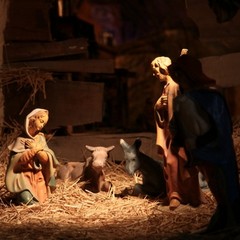 Presepe in piazza della Libertà - Trani 2011