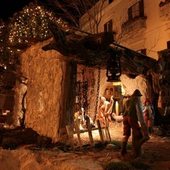 Presepe in piazza della Libertà - Trani 2011