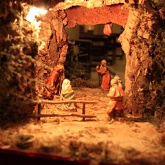 presepe trani cattedrale 2011 11