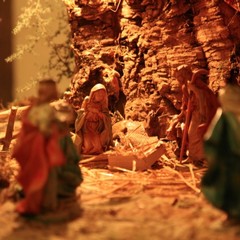 presepe trani cattedrale 2011 4