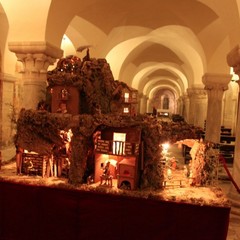 presepe trani cattedrale 2011 6