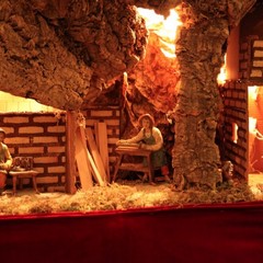 presepe trani cattedrale 2011 9