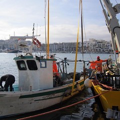 Recuperato il peschereccio affondato nel Porto di Trani