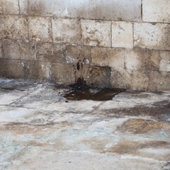 Degrado Cattedrale di Trani