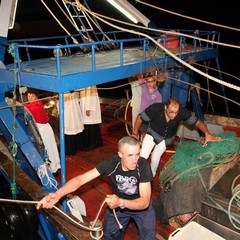 Sbarco di San Nicola Pellegrino nel porto di Trani