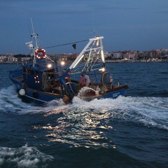 Sbarco di San Nicola Pellegrino nel porto di Trani
