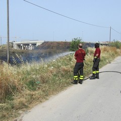 Giugno - La campagna tranese devastata dagli incendi
