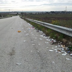 Sporcizia e degrado al ponte di via Salvemini