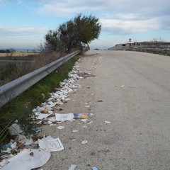 Sporcizia e degrado al ponte di via Salvemini