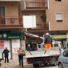 Alberi tagliati in piazza Albanese