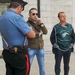 Blitz a Trani: trovati e rimessi in libertà due cardellini
