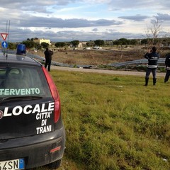 Camion precipita dalla 16 bis allo svincolo Trani dud
