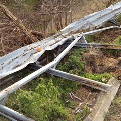 Camion precipita dalla 16 bis allo svincolo Trani dud