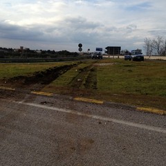 Camion precipita dalla 16 bis allo svincolo Trani dud
