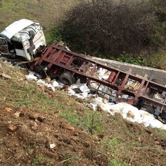 Camion precipita dalla 16 bis allo svincolo Trani dud