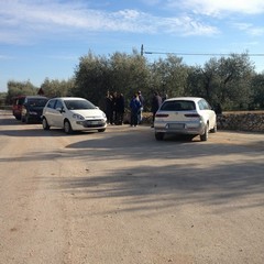 Rinvenuti due cani privi di vita in via Duchessa D'Andria