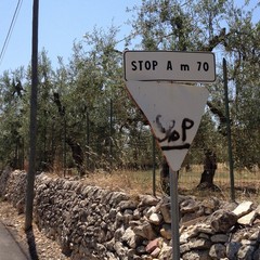 Cartelli stradali a Trani