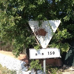 Cartelli stradali a Trani