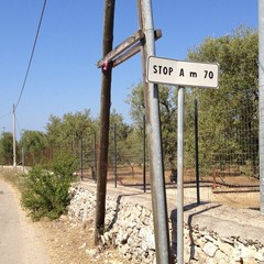 Cartelli stradali a Trani