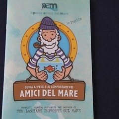 Presentazione di spiagge e fondali puliti