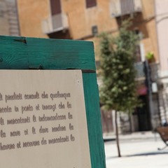 Tavole degli statuti marittimi danneggiate dai vandali