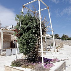 Lido Marechiaro, degrado assoluto