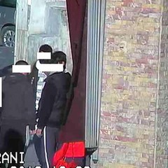 Droga alla pinetina di via Andria