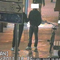 Droga alla pinetina di via Andria