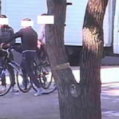 Droga alla pinetina di via Andria